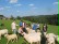 Freiwillige stehen auf einer Weide mit Schafen