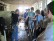 Freiwillige lassen sich das Kühemelken im Kuhstall zeigen. 